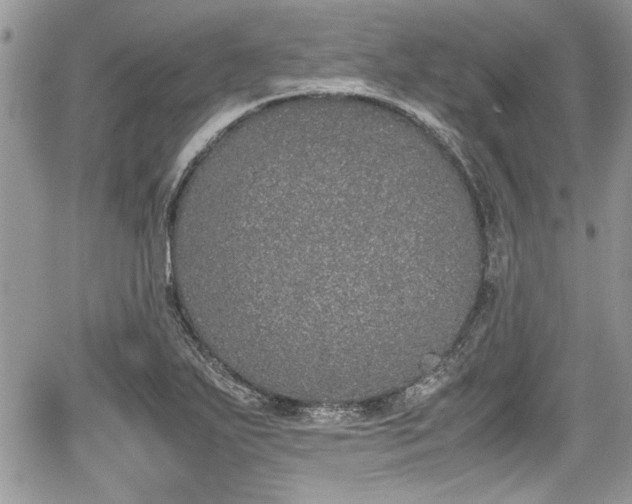 X0000067951271200604171426