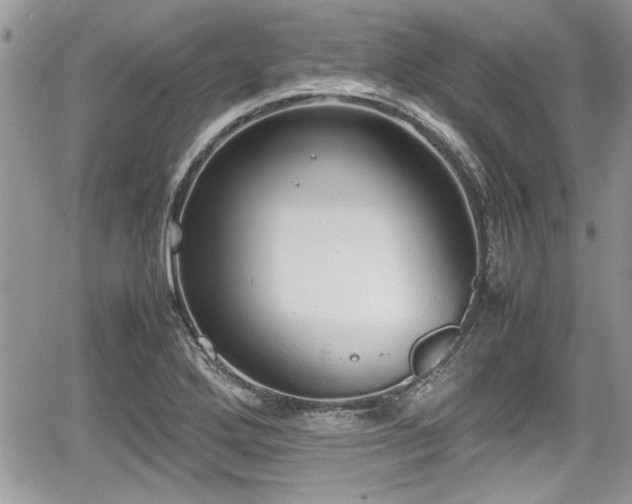 X0000067951272200604171426