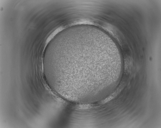 X0000067951274200604171426