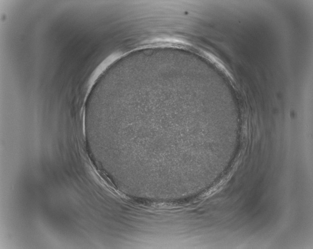 X0000067951275200604171426