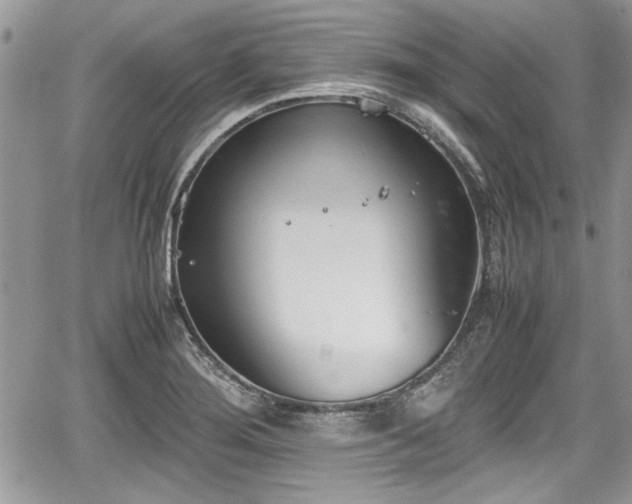 X0000067951276200604171426