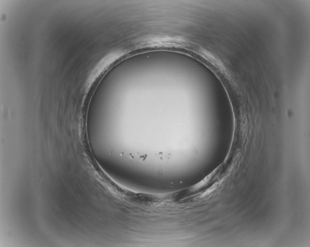 X0000067951277200604171426