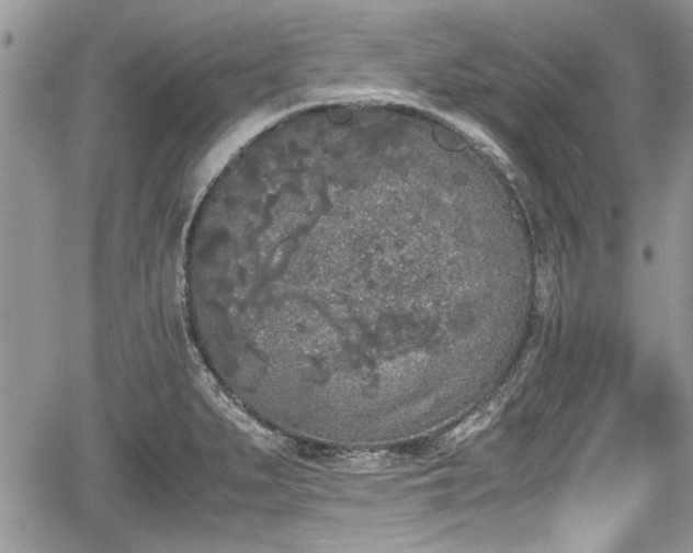 X0000067951279200604171426