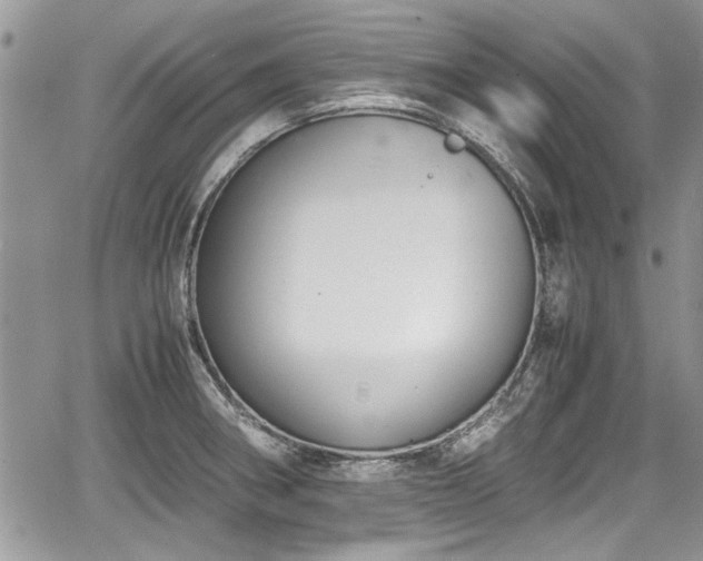 X0000067951282200604171426