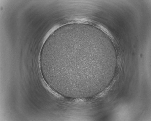 X0000067951283200604171426