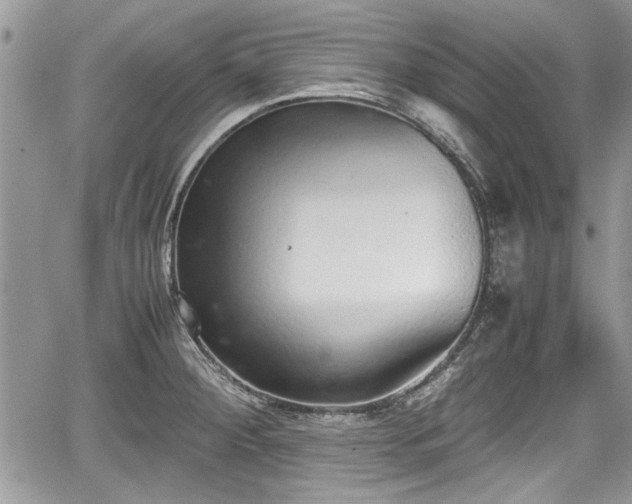 X0000067951284200604171426