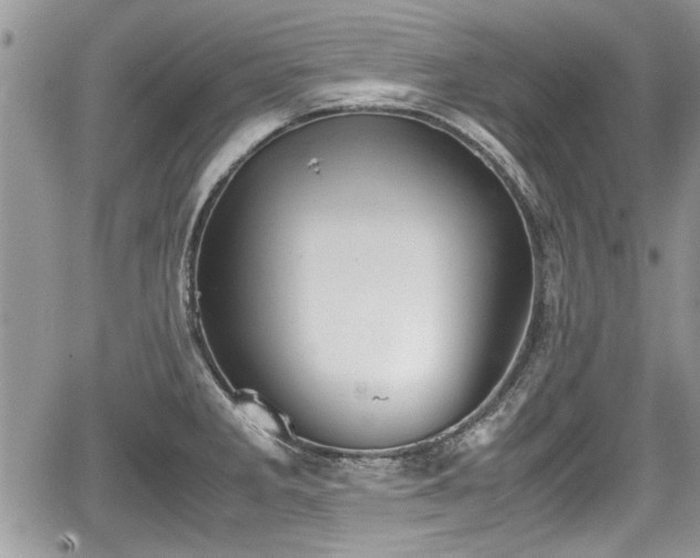 X0000067951285200604171426