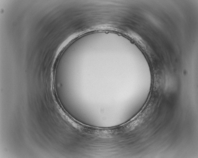 X0000067951286200604171426