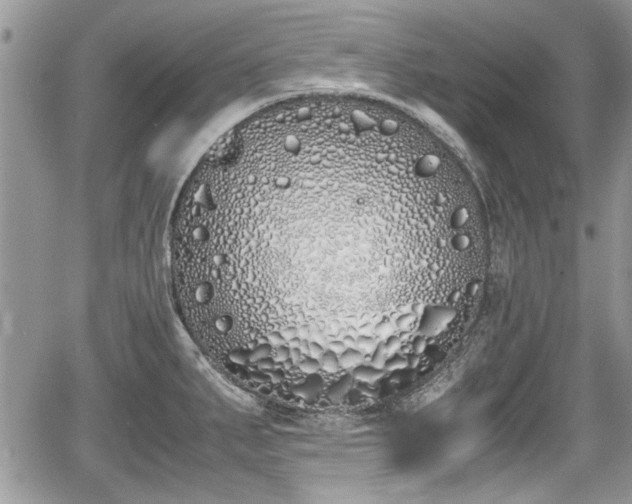 X0000067951287200604171426