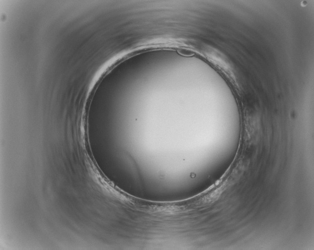 X0000067951288200604171426