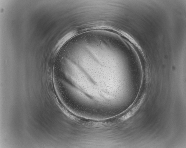 X0000067951289200604171426