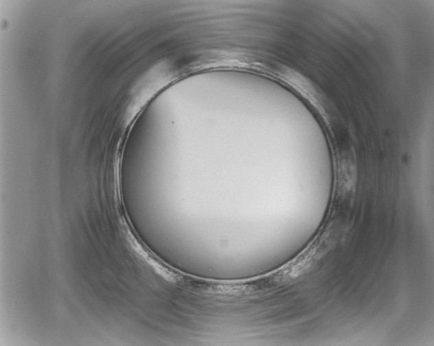 X0000067951290200604171426