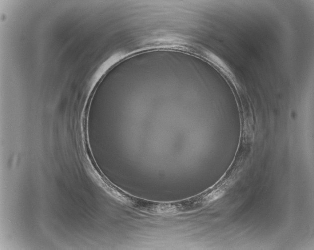 X0000067951291200604171426