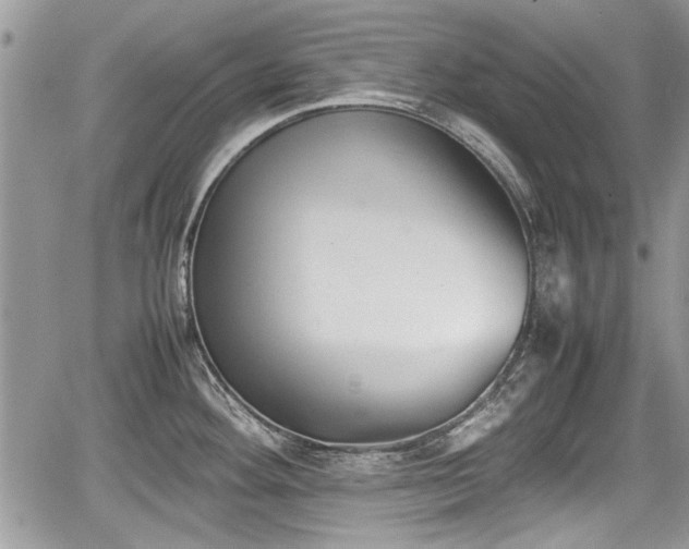 X0000067951292200604171426