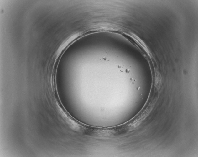 X0000067951293200604171426