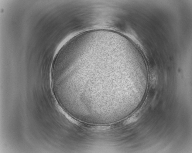 X0000067951294200604171426