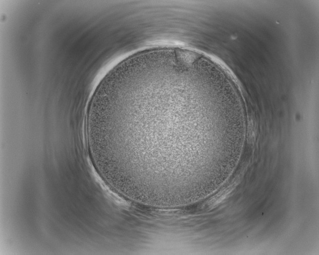 X0000067951295200604171426