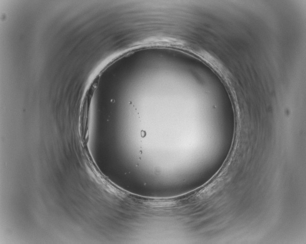 X0000067951296200604171426