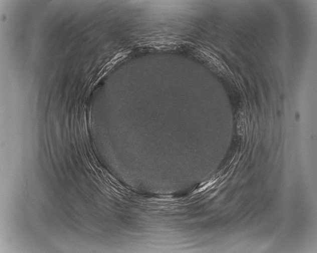 X0000067951298200604171425