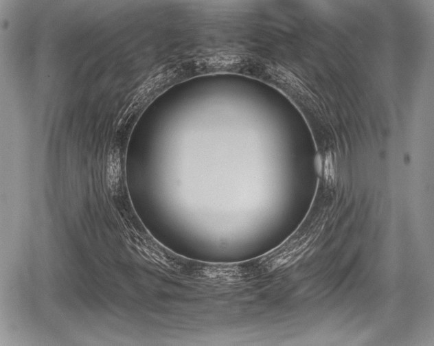 X0000067951299200604171425