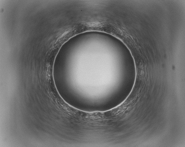 X0000067951301200604171425