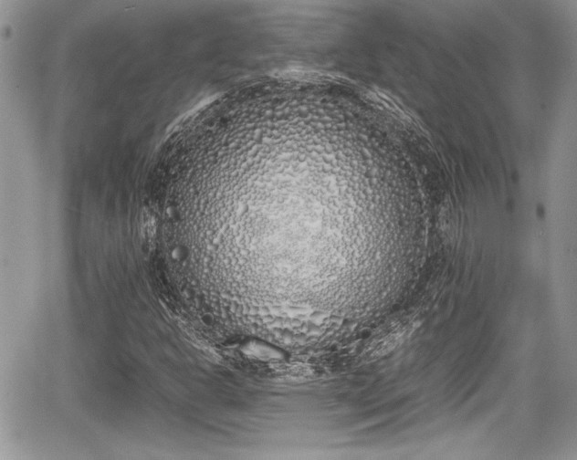 X0000067951302200604171425