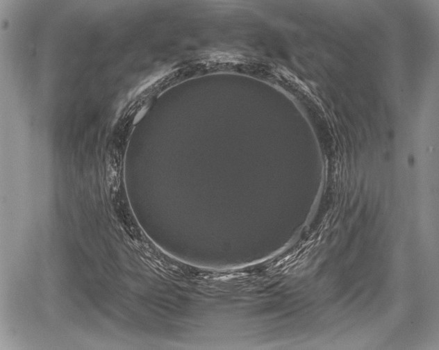 X0000067951303200604171425