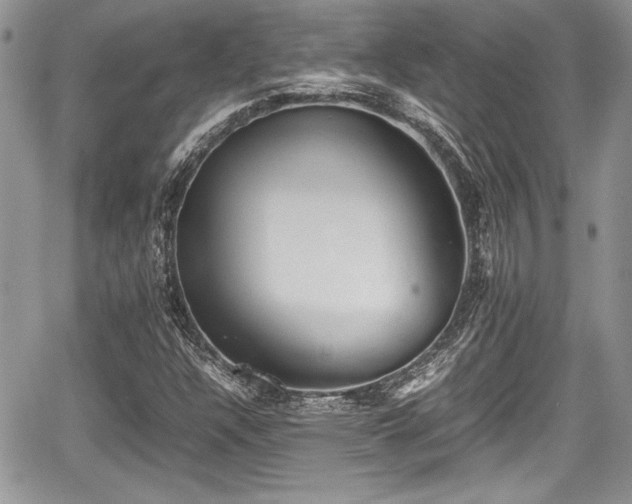 X0000067951304200604171425