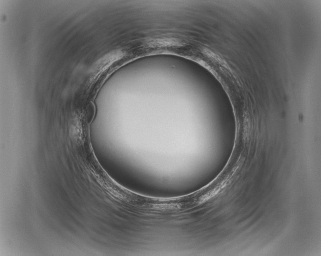 X0000067951305200604171425