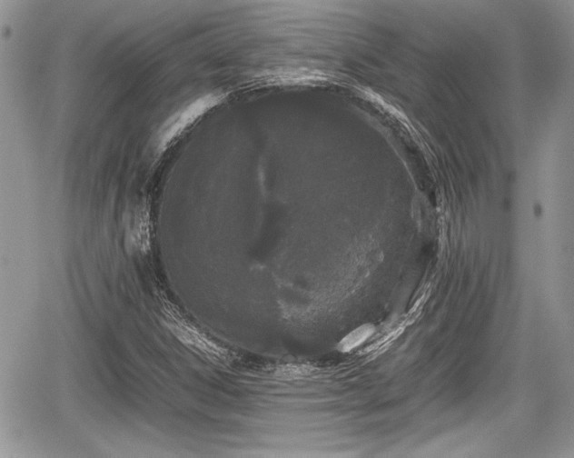 X0000067951306200604171425