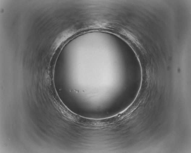 X0000067951308200604171425