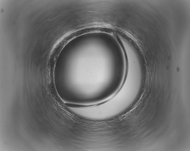 X0000067951310200604171425