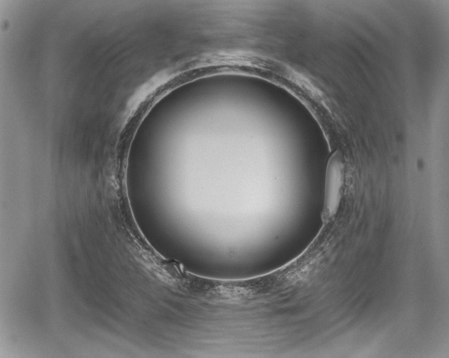 X0000067951312200604171425