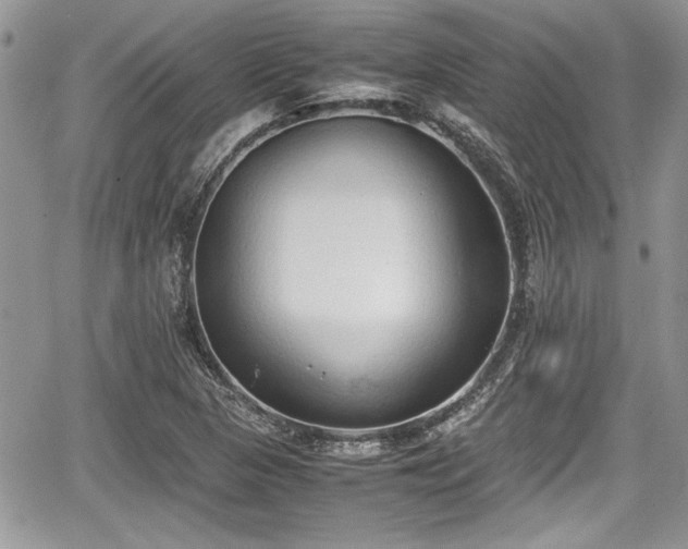 X0000067951313200604171425