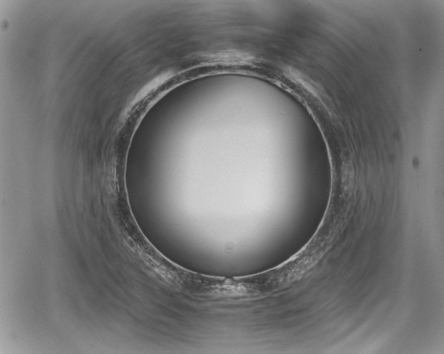 X0000067951315200604171425