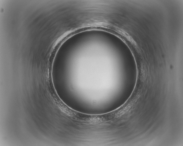 X0000067951316200604171425