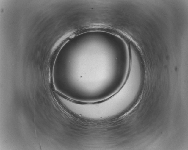 X0000067951317200604171425