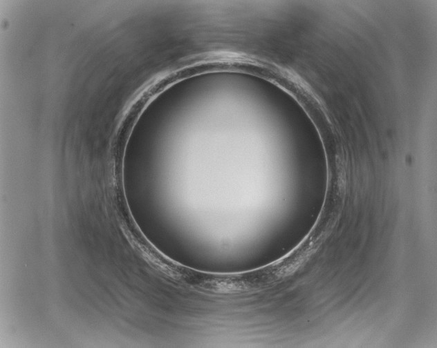 X0000067951318200604171425