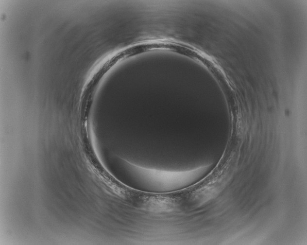 X0000067951319200604171425