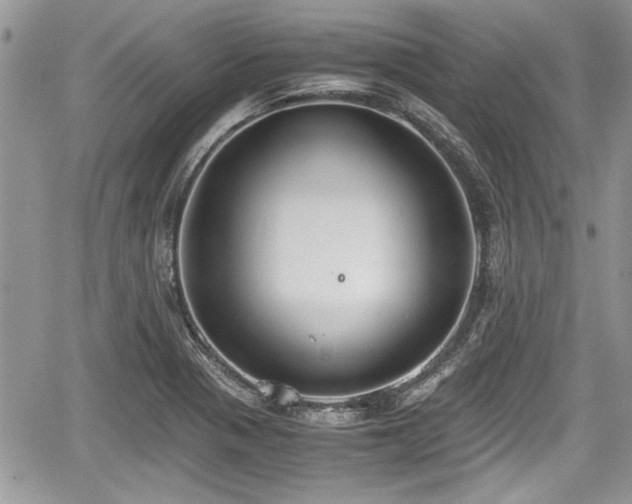 X0000067951321200604171425