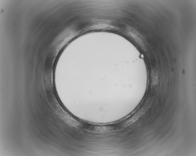 X0000067951322200604171425