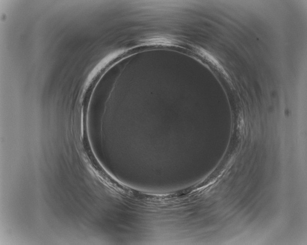 X0000067951323200604171425