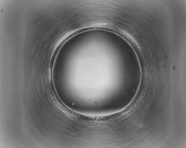 X0000067951324200604171425