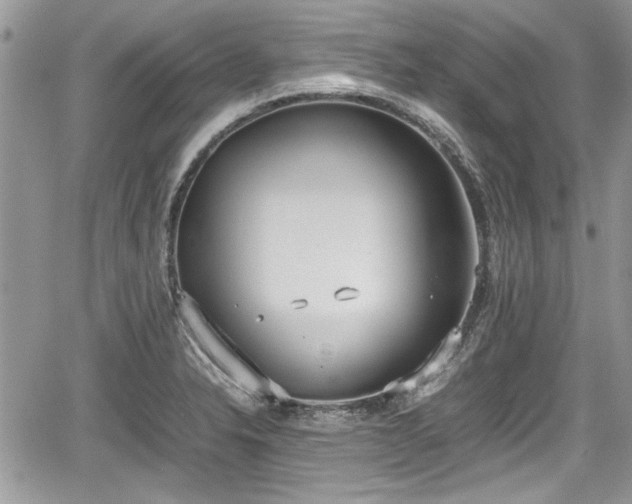 X0000067951326200604171425