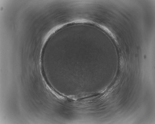 X0000067951327200604171425