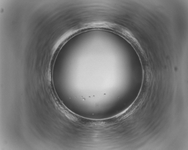 X0000067951328200604171425