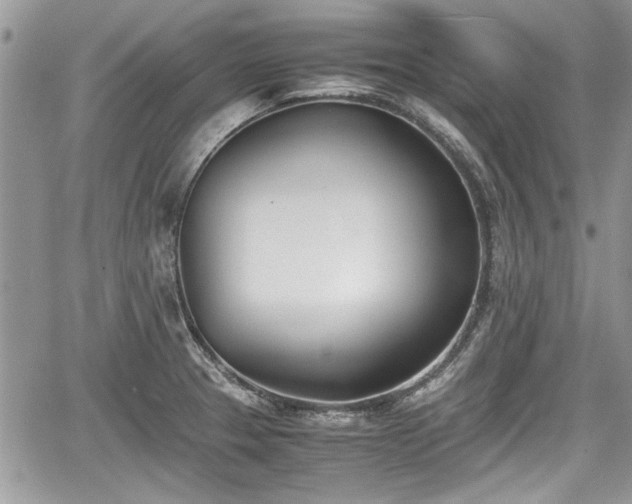 X0000067951329200604171425