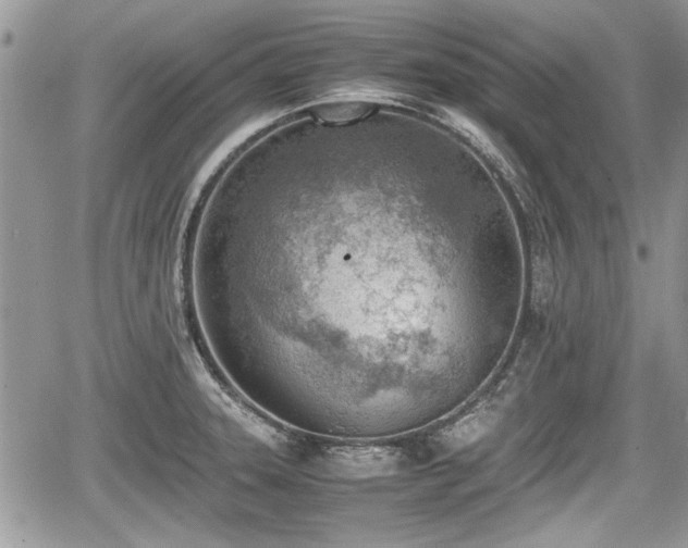 X0000067951331200604171425