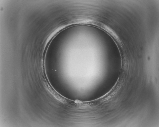 X0000067951332200604171425