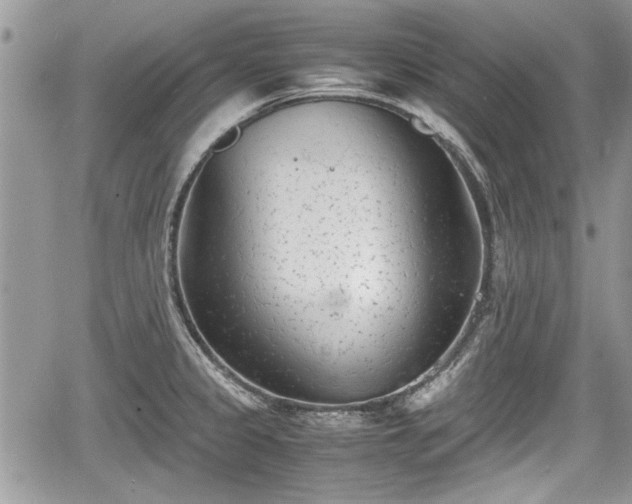 X0000067951333200604171425